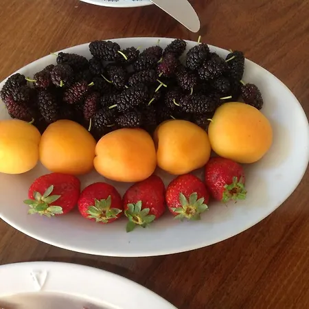Farm stay Masseria Anni Trenta *